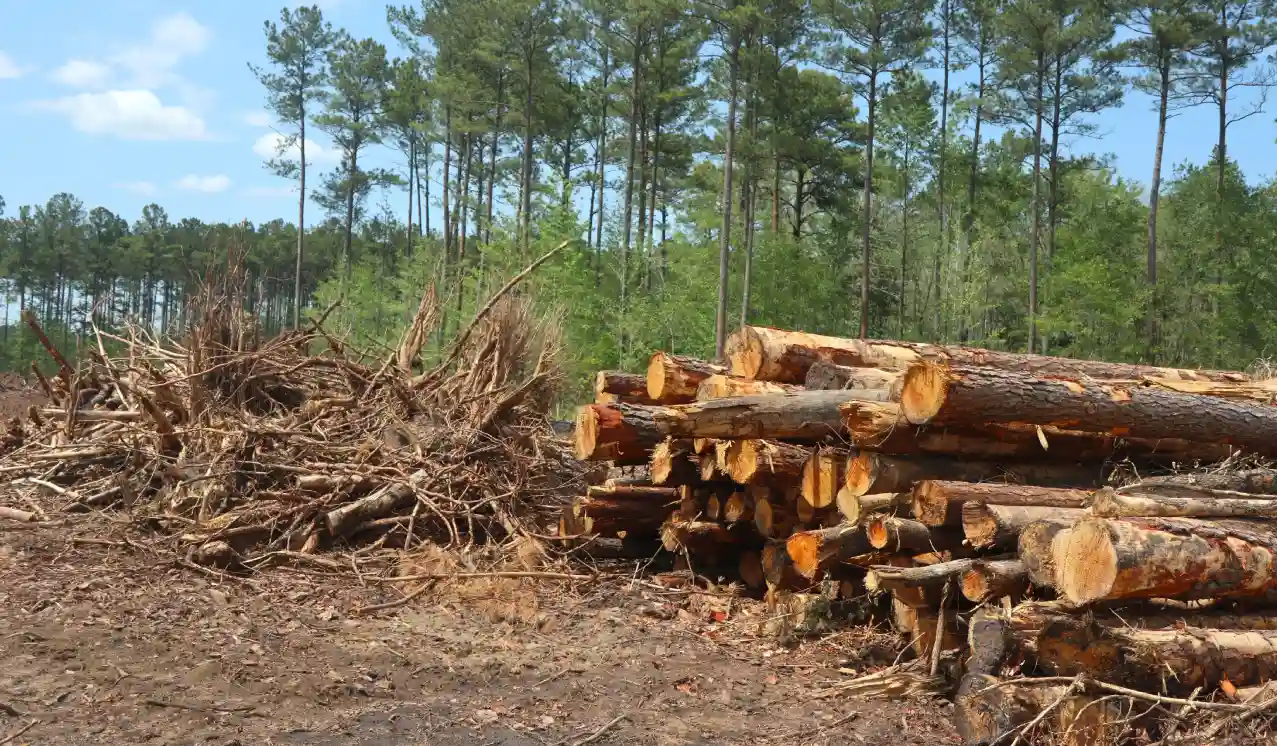 Land Clearing