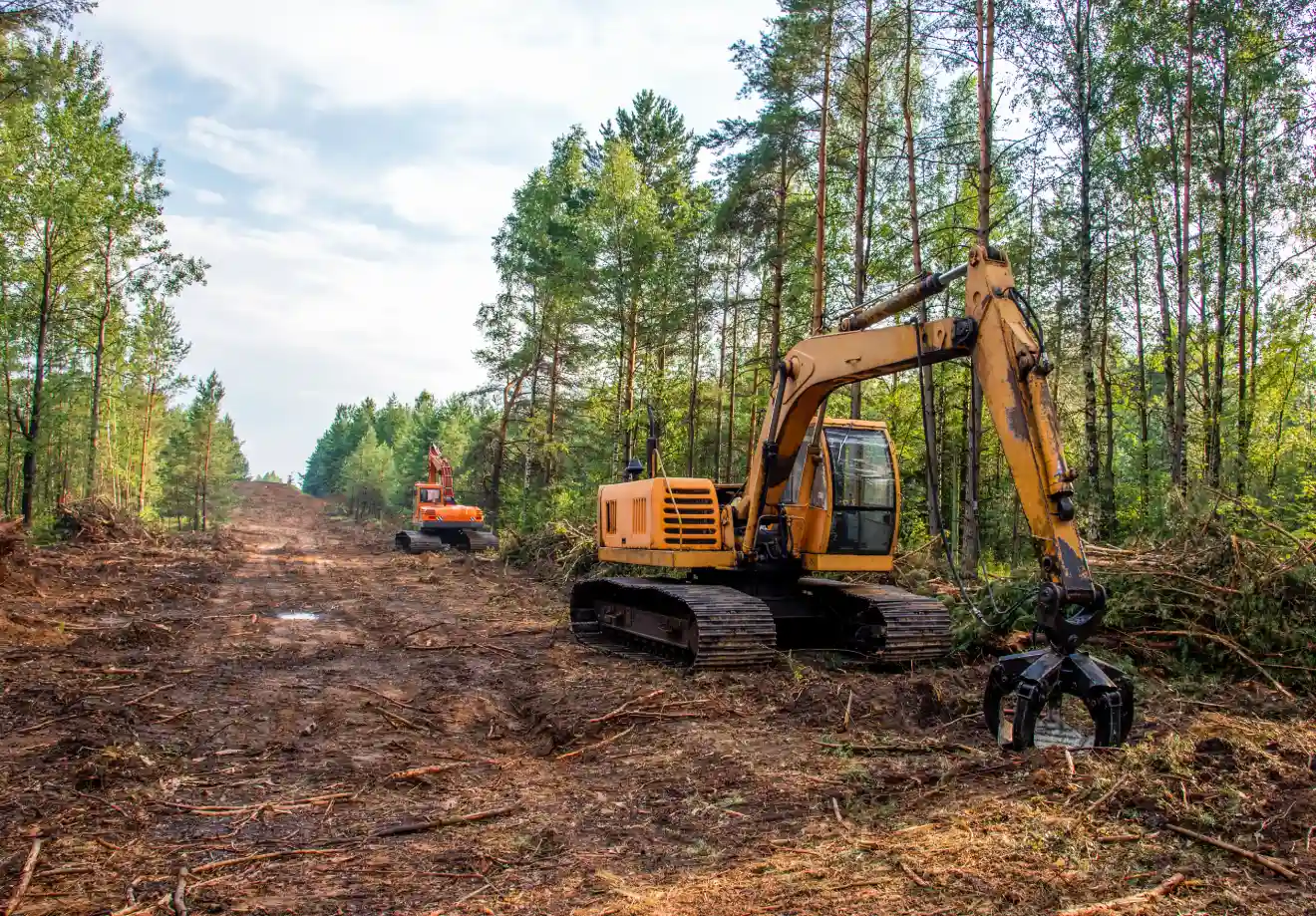 Land Clearing