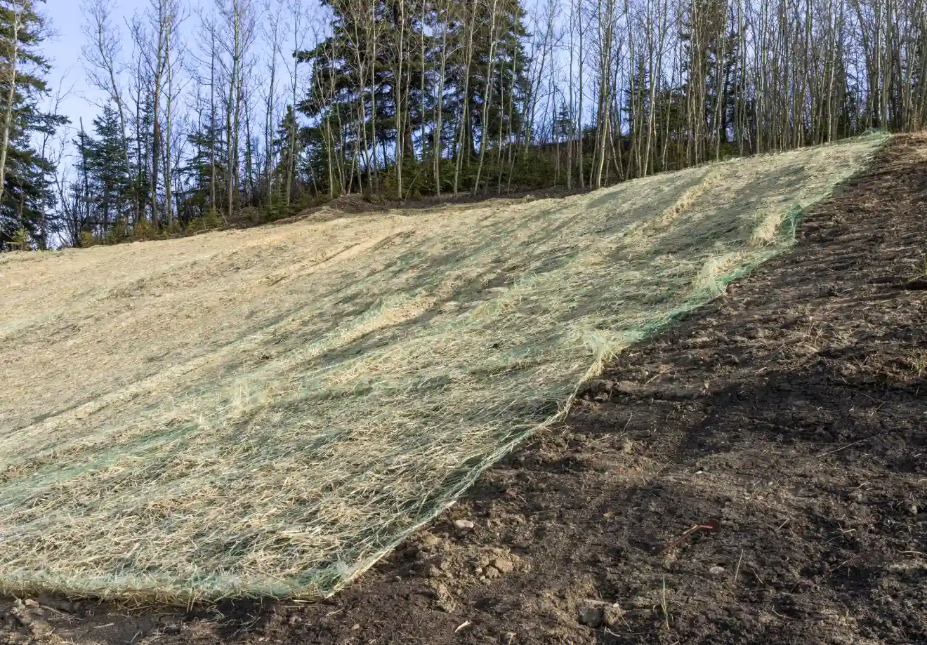 Erosion Control