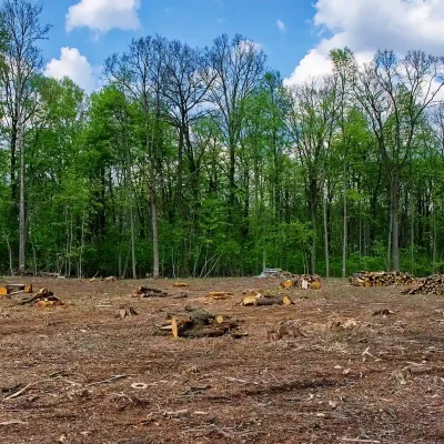 Clearing